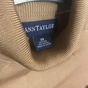Ann Taylor sweater